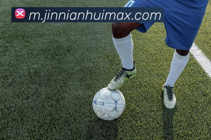 金年会平台生态图